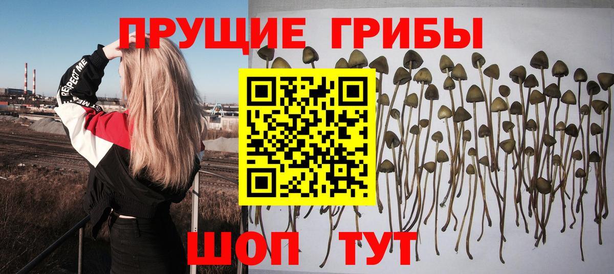 Лысьва  Галлюциногенные грибы Magic Shrooms  Вход с VPN 